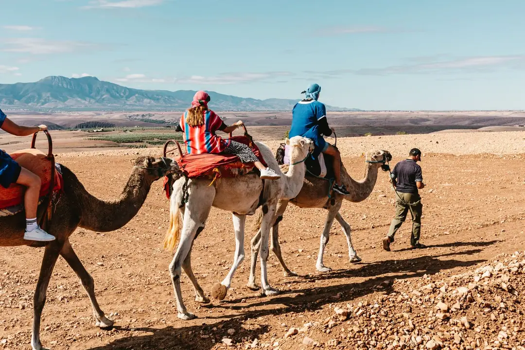 Two guests riding camels across a dry Moroccan landscape with mountains behind