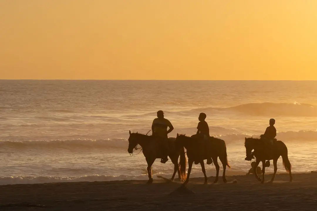 Three riders on horseback in the shallow surf at golden hour