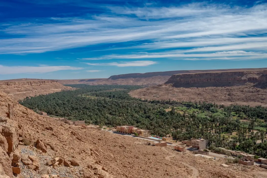 A green palm valley below pale cliffs in southern Morocco