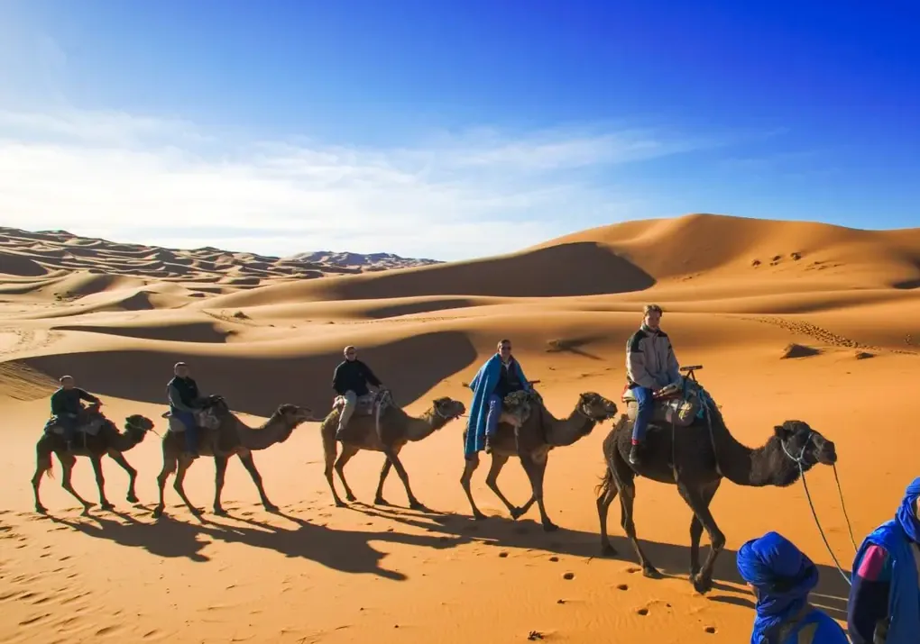 A dromedary caravan on the ridges of the Erg Chebbi dunes